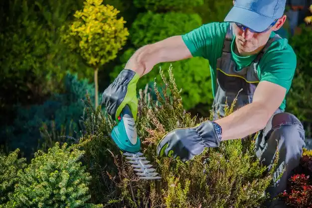 landscaping services Mogadore
